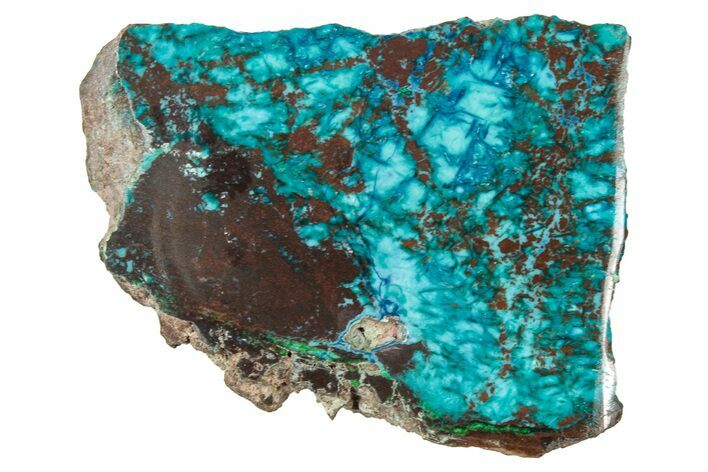Vibrant Chrysocolla and Shattuckite Slab - Mexico #348735